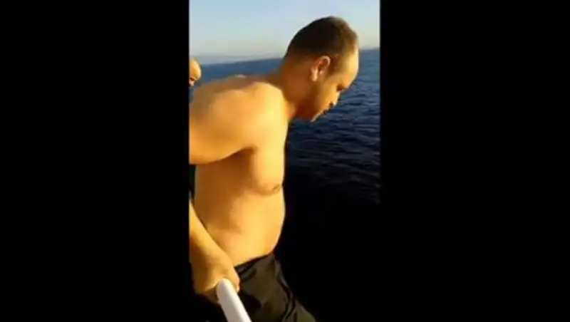 Моряк спас застрявшего в сетях кита, прыгнув с 12-метровой палубы