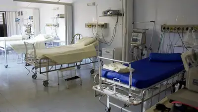 Pixabay, фото - Новости Zakon.kz от 14.06.2020 21:22