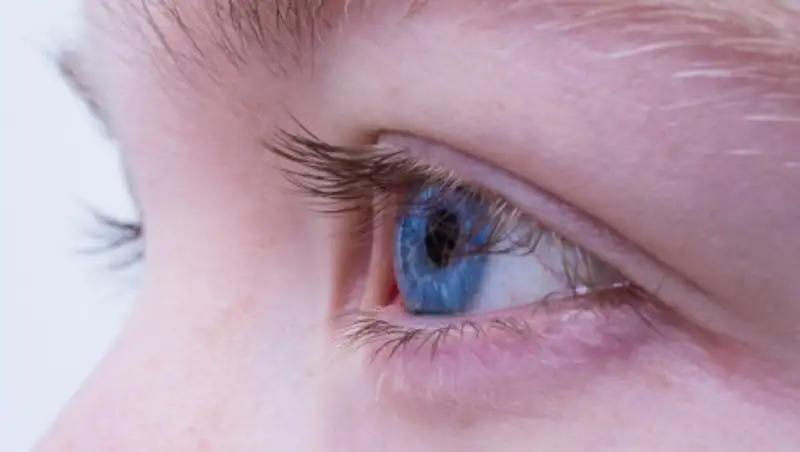 Bитрэктомия или как спасти глаз при отслоении сетчатки