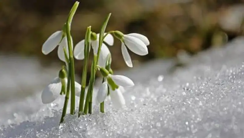 Туман, гололед и метель ожидаются в Казахстане 25 марта