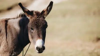 newtimes, фото - Новости Zakon.kz от 27.08.2020 23:48