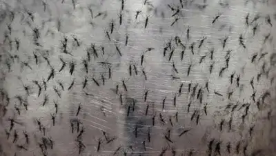 Zakon.kz, фото - Новости Zakon.kz от 10.02.2016 16:17