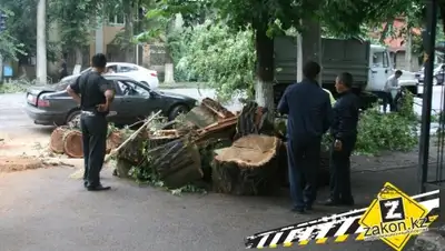 Zakon.kz, фото - Новости Zakon.kz от 26.06.2015 20:28