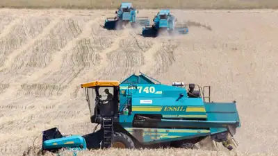 Казахстане отсутствует современная инфраструктура для хранения сельхозпродукции, фото - Новости Zakon.kz от 19.04.2023 11:32