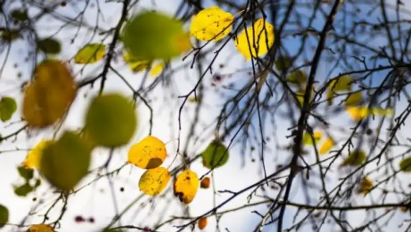 В субботу казахстанцев ожидает погода без осадков