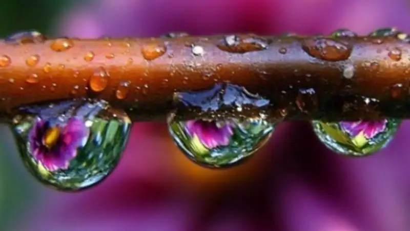 Апрель в Казахстане начнется с дождливой, но аномально теплой погоды