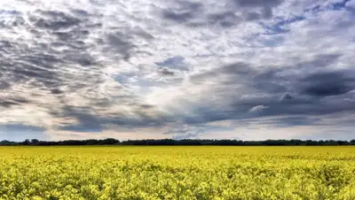 pixnio.com, фото - Новости Zakon.kz от 03.06.2019 08:55