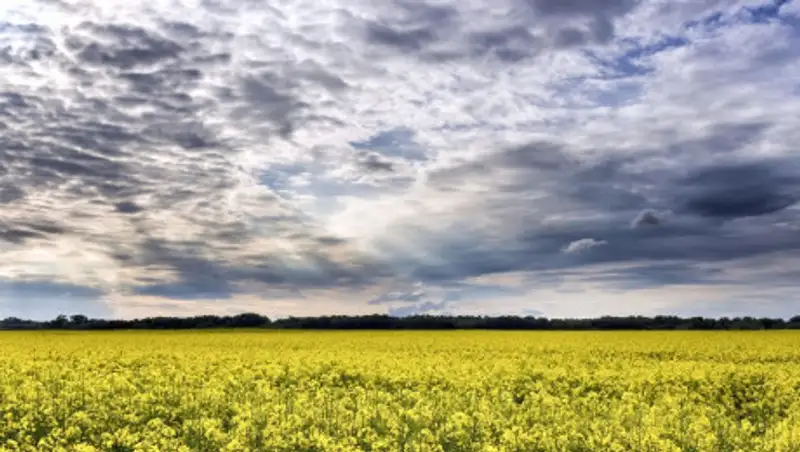В Казахстане 3 июня сохранится неустойчивая погода