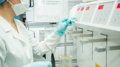 ndda.kz, фото - Новости Zakon.kz от 19.08.2020 13:00