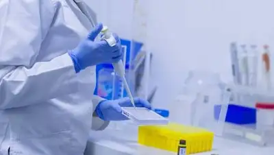 pixabay.com, фото - Новости Zakon.kz от 06.04.2021 09:58