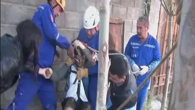 Zakon.kz, фото - Новости Zakon.kz от 06.10.2014 19:14