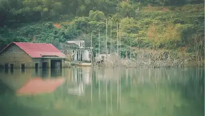 Бразилия, фото - Новости Zakon.kz от 20.02.2022 11:45