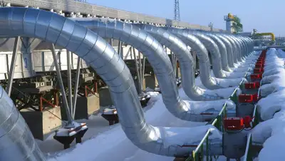 regnum.ru, фото - Новости Zakon.kz от 11.03.2020 13:25