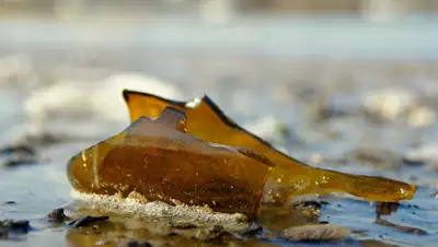 pixabay.com, фото - Новости Zakon.kz от 29.10.2019 18:03