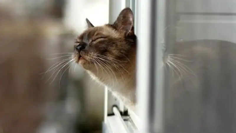 Какая погода ждет казахстанцев 10 марта