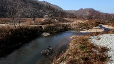 Zakon.kz, фото - Новости Zakon.kz от 24.07.2015 14:57