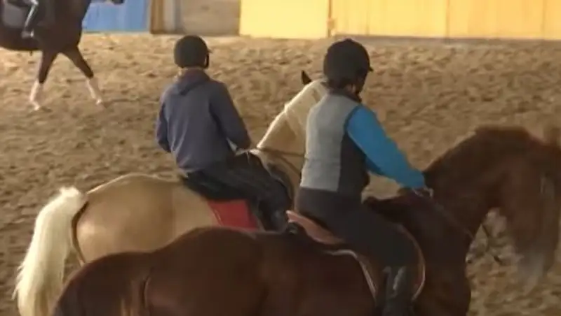 Стала известна дальнейшая судьба элитных скакунов Тулешова