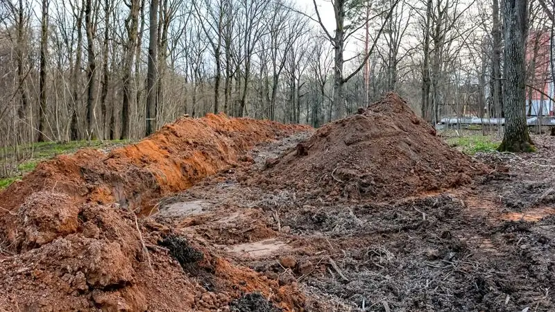 Останки восьми красноармейцев обнаружили павлодарцы