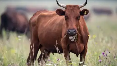 Zakon.kz, фото - Новости Zakon.kz от 01.10.2016 14:31