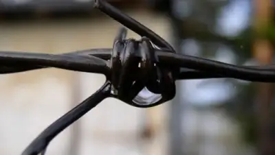 Zakon.kz, фото - Новости Zakon.kz от 16.06.2015 00:15