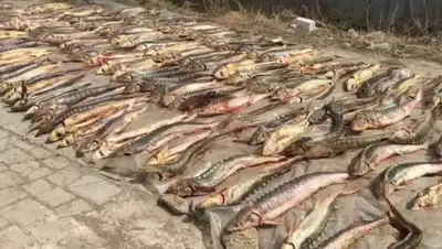 скриншот, фото - Новости Zakon.kz от 15.04.2021 19:31