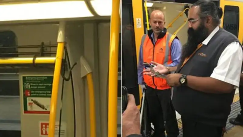 В Австралии питон прокатился на поезде