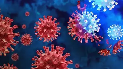 Как избежать заражения "Кракеном", фото - Новости Zakon.kz от 13.01.2023 03:43