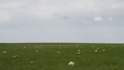 Zakon.kz, фото - Новости Zakon.kz от 12.06.2015 01:23