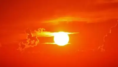 express-k.kz, фото - Новости Zakon.kz от 18.07.2018 12:03