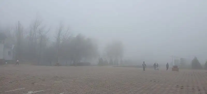 Густой туман накрыл Алматы, фото - Новости Zakon.kz от 31.03.2023 09:04
