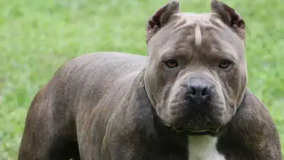 euroradio.fm, фото - Новости Zakon.kz от 03.10.2019 15:23