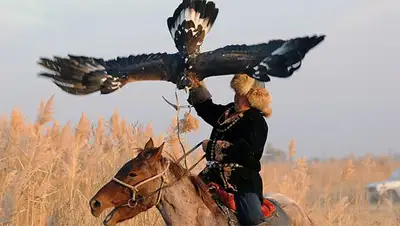 Zakon.kz, фото - Новости Zakon.kz от 13.11.2013 22:53