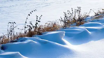 Снежную погоду прогнозируют синоптики на севере Казахстана  , фото - Новости Zakon.kz от 14.04.2023 12:07