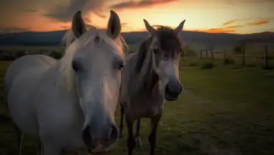 pixabay.com, фото - Новости Zakon.kz от 13.09.2021 23:51