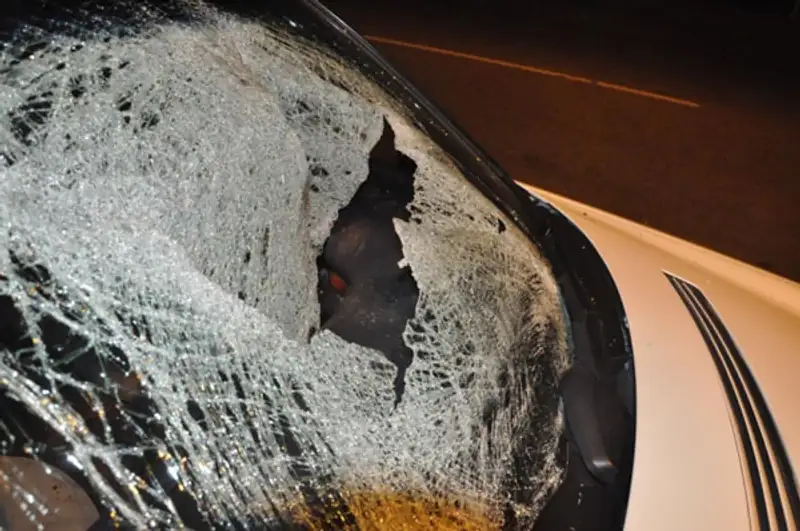 В Алматы пьяный водитель сбил четверых дорожных рабочих, один погиб, фото - Новости Zakon.kz от 08.04.2013 18:58