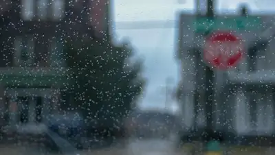 pexels.com, фото - Новости Zakon.kz от 27.05.2019 09:10