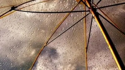 24.kz, фото - Новости Zakon.kz от 24.08.2018 09:29