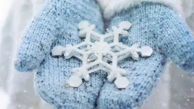 pxhere.com, фото - Новости Zakon.kz от 30.01.2019 09:28