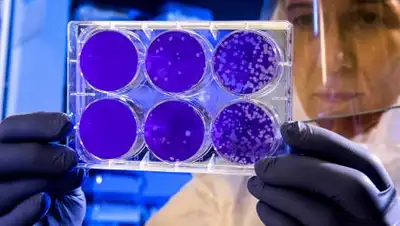 pxhere.com, фото - Новости Zakon.kz от 05.08.2021 19:11