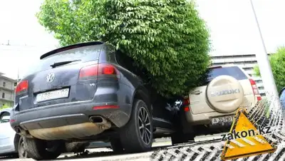 Zakon.kz, фото - Новости Zakon.kz от 25.05.2017 20:53