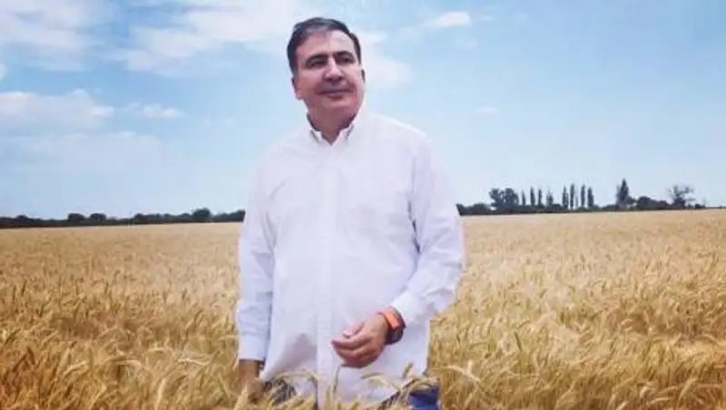 Грузия не планирует передавать Саакашвили Украине