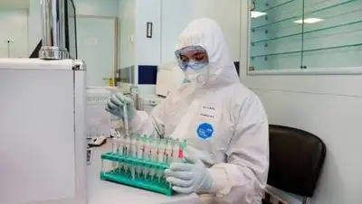 zakon.kz., фото - Новости Zakon.kz от 11.10.2020 08:12