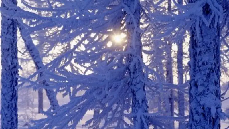 Морозы до минус 42 прогнозируют в Карагандинской области