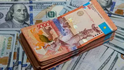 курс валют в обменных пунктах, фото - Новости Zakon.kz от 18.08.2022 09:19