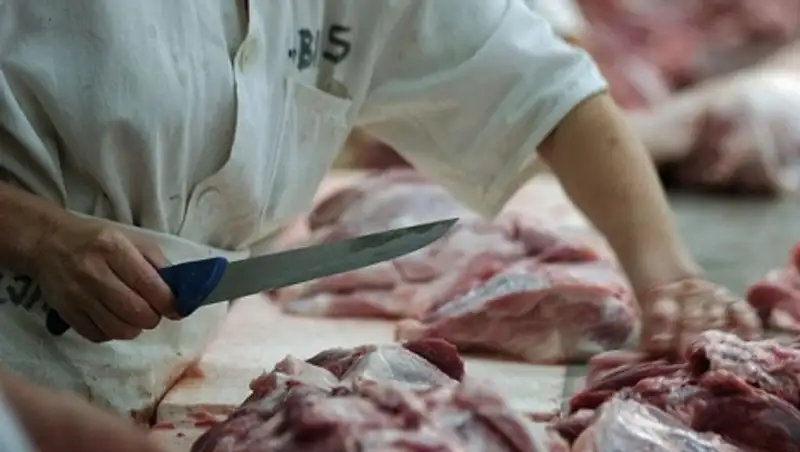 В Кызылординской области начато строительство завода по переработке 7 тыс тонн мяса в год