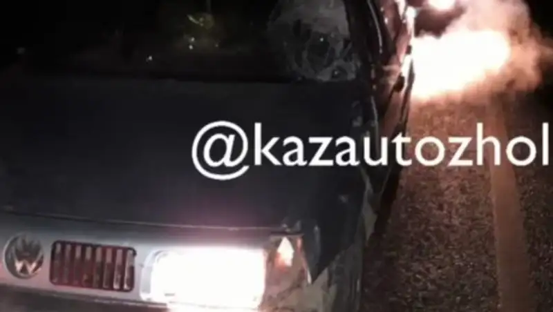 Смертельный наезд на пешехода произошел на трассе "Самара-Шымкент"