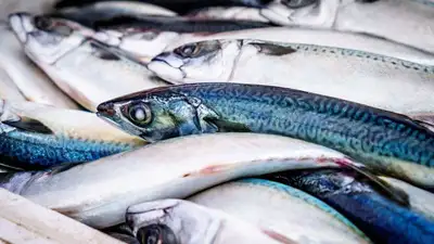 Рыбные продукты Японии, фото - Новости Zakon.kz от 24.08.2023 15:32