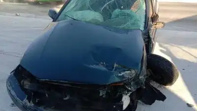 yk-news, фото - Новости Zakon.kz от 09.01.2021 07:18