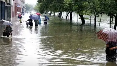 Zakon.kz, фото - Новости Zakon.kz от 12.09.2016 19:15