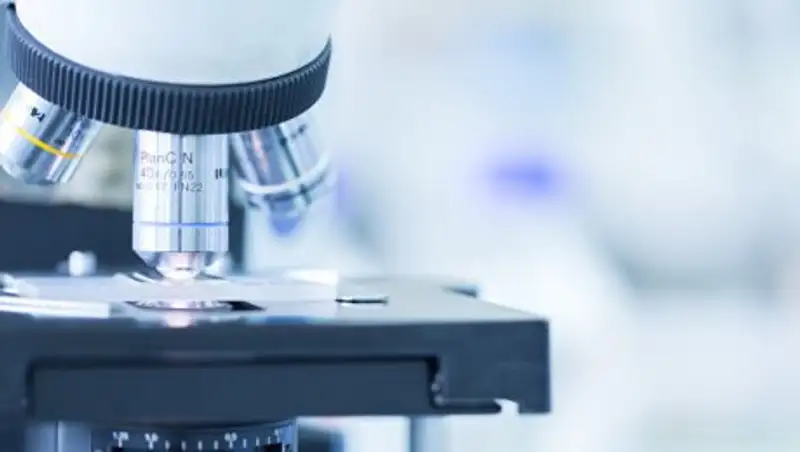 Японские ученые вырастили орган одного животного в теле другого